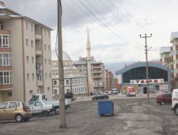 Yol ortasında elektrik direği